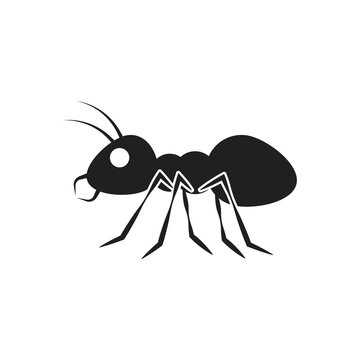 Ant icon design. Ant insect. Ant silhouette symbol. isolated on white background.