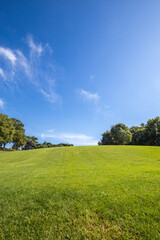 grass and blue sky