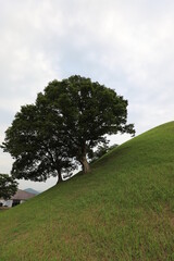 royal tomb, royal mausoleum, Gyeongju, korea