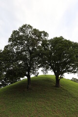 royal tomb, royal mausoleum, Gyeongju, korea