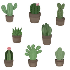 set of cactus plants in pots