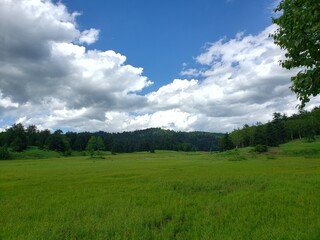 青空と広大な草原