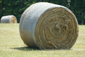 Bale of hay on the field in the summer near Arkansas, U.S