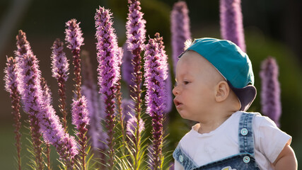 A small brightly dressed boy is playing with large purple flowers in the backyard.