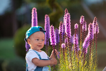 A small brightly dressed boy is playing with large purple flowers in the backyard.