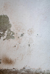 Pared desgastada y rustica color blanco para texturas