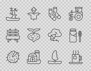 Set line Chestnut, Cup of tea with tea bag, Socks, Farm house, Bare tree, Beet, Tree and Jar honey and dipper stick icon. Vector