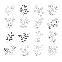 Trendy floral branches and minimalistic flowers for logo or decoration. Hand drawn line wedding herbs, elegant leaves for invitations, business cards. Vector Illustration