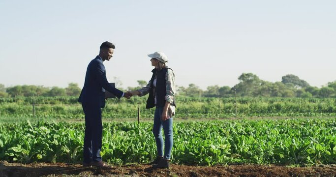Farm, agriculture and handshake with a woman farmer and business man meeting in the farming industry. Sustainability, nature and thank you with people working in collaboration as a team outside