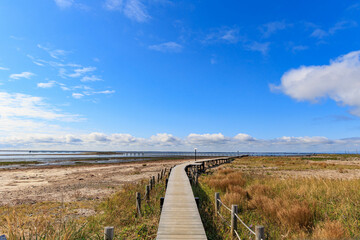 野付半島のトドワラ桟橋「秋の北海道」