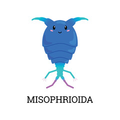 Misophrioida sea plankton organism character flat vector illustration isolated.