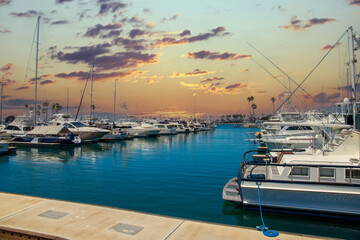 a gorgeous summer landscape in the marina with boats and yachts docked in Alamitos Bay Marina surrounded by lush green palm trees and powerful clouds at sunset in Long Beach California USA
