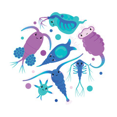 Set of cute zooplanktons, cartoon flat vector illustration isolated on white background.