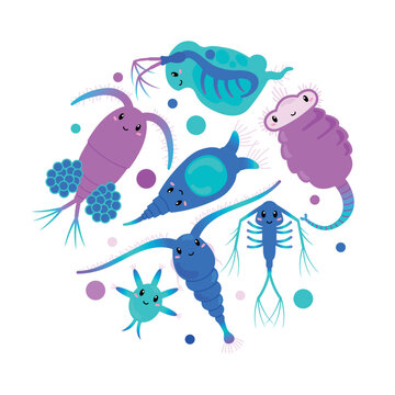 Set of cute zooplanktons, cartoon flat vector illustration isolated on white background.