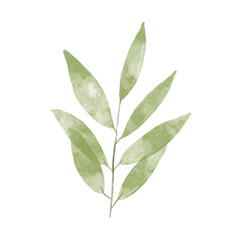 Fototapeta na wymiar Green leaf watercolor illustration.