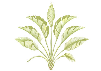 Green leaf watercolor illustration.