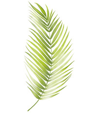 Obraz premium Green leaf watercolor illustration.