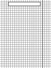 Seite / Blatt hochkant kariert - Überschrift Thema Feld - Rand rechts - Rechnen Mathe Schule Unterricht - Vorlage Hintergrund Template 