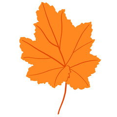 Fototapeta premium Maple leaf watercolor illustration.