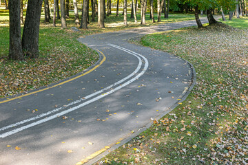 piste cyclable sinueuse couverte de feuilles jaunes tombées. paysage de parc d& 39 automne en journée ensoleillée.