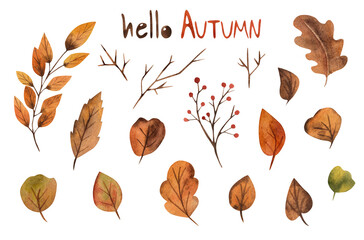 Autumn leaves. watercolor illustration