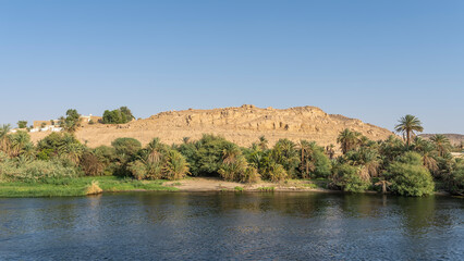 Fototapeta na wymiar Green trees and palm trees grow on the river bank. Sand dunes against a clear blue sky. Village houses are visible. Egypt. Nile