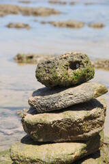 Fototapeta na wymiar Praia com água cristalina e pedra zen que parece uma cabeça de dinossauro.
