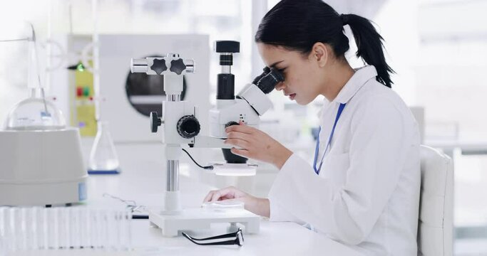 Science, innovation and research with a woman scientist looking through a microscope for medical analysis in a laboratory. Serious healthcare researcher working on a cancer cure or modern treatment