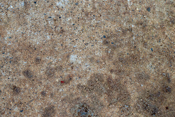 Texture of cement floor for wallpaper or background.