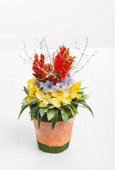 Colourful Topiary flower arrangement for interior decoration 