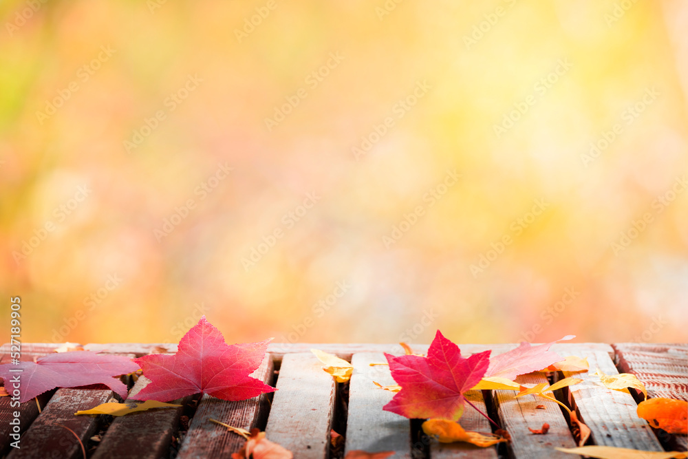 Wall mural Wooden table with autumn leaves background, Multicolored leafs in sunny fall afternoon 