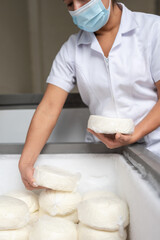 worker stacking cheeses at a dairy factory