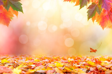 Naklejka na ściany i meble Fallen colorful autumn leaves background, Sunny fall afternoon 