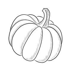 BLACK VECTOR ILLUSTRATION OF PUMPKIN ISOLATED ON WHITE BACKGROUND