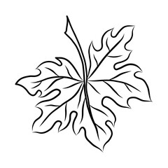 BLACK VECTOR ILLUSTRATION OF A MAPLE LEAF ISOLATED ON A WHITE BACKGROUND