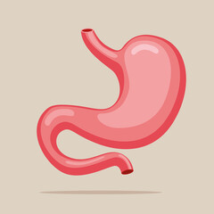 Fototapeta premium Stomach icon. Human internal organs symbol. Digestive system anatomy. Health care sign. Design element for gastroenterology, medicine, biology. 