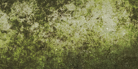 old grunge plaster wall