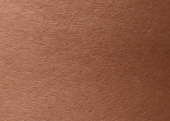 Human skin texture background,brown skin