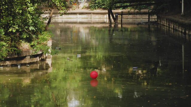 Static Shot Of A Lost Red Balloon Floating On A Dirty Green Water Pond. Slow-motion Shot.