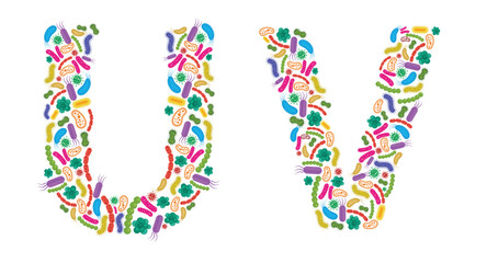 Vector alphabet U V made of Bacteria isolated on white background, bacteria font. Vector illustration.
