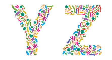 Vector alphabet Y Z made of Bacteria isolated on white background, bacteria font. Vector illustration.