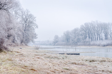 Obraz na płótnie Canvas Danube Island Sodros near Novi Sad, Serbia. Gray and white landscape with frozen water.