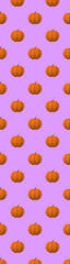 drawing images of pumpkins on a purple background. template for overlaying on the surface. Hellowin symbol. Vertical banner for insertion into site. 3d rendering. 3d image