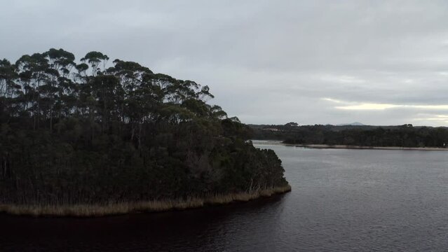 Aerial: Drone rising over trees to reveal boats floating on a lake near Strahan, Tasmania  Australia