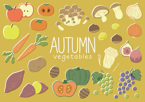秋野菜 の画像 1 476 件の Stock 写真 ベクターおよびビデオ Adobe Stock