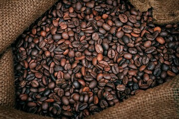 arabica coffee