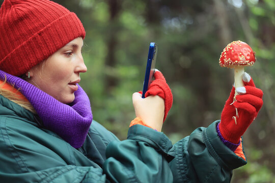person fly agaric, woman holding fly agaric, dangerous poisonous mushroom, eating herbal medicine