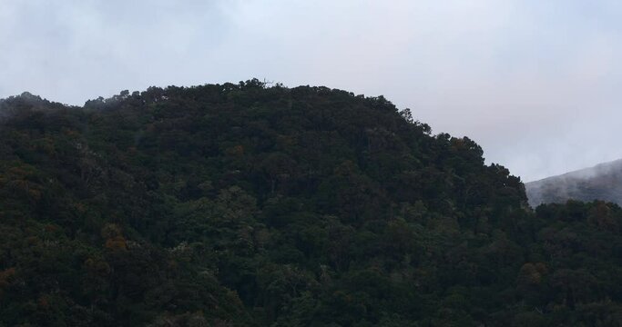 Beautiful view on the hills and rainforest surrounding San Gerardo de Dota in mist, beautiful Costa Rica Wilderness landscape