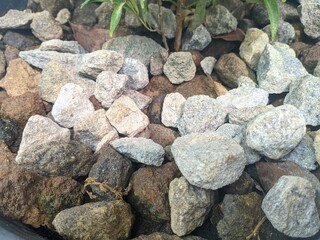selective focus on piles of gravel, as decoration at the bottom of ornamental plants