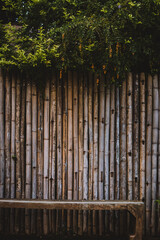 Old bamboo wall on natural light background.